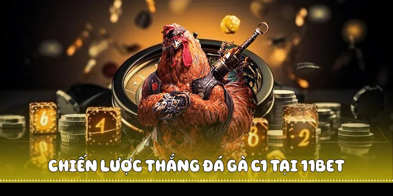 Đỉnh Cao Đá Gà C1 Tại Nhà Cái 11BET 3 Chiến lược thắng đá gà C1 tại 11BET
