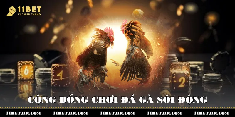 Giải Trí Đỉnh Cao Với Trực Tiếp Đá Gà Tại 11BET 4 Cộng đồng chơi đá gà sôi động