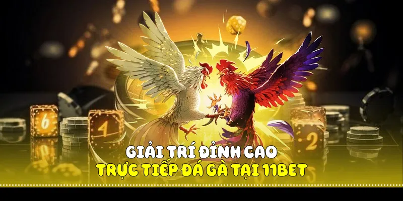 Giải Trí Đỉnh Cao Với Trực Tiếp Đá Gà Tại 11BET 1 Trực Tiếp Đá Gà